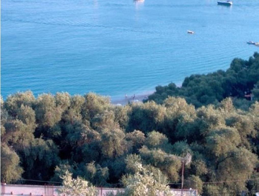 Studios Nikolaou Bros Parga Buitenkant foto