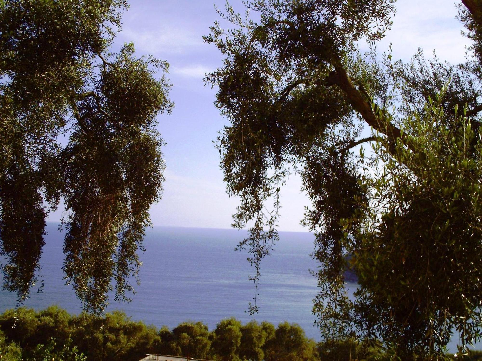 Studios Nikolaou Bros Parga Buitenkant foto